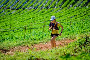 BIB: 
                            <button type="button" onclick="openModal(19163741)" class="btn btn-primary btn-sm float-right btn-popup" data-toggle="modal" data-target=".modal-high-quality">
                        <i class="fas fa-shopping-cart"></i> Add to Cart
                    </button>
                                            <button type="button" onclick="isThisMe(19163741, true)" class="btn btn-success btn-sm float-right btn-popup btn-isme hidden" data-toggle="tooltip" data-placement="bottom" title="นี่คือรูปของคุณใช่ไหม คลิกที่นี่เพื่อเอาเข้าอัลบั้ม">
                        <i class="fas fa-plus"></i> Add to album
                    </button>
                    <button type="button" onclick="isThisMe(19163741, false)" class="btn btn-warning btn-sm float-right btn-popup btn-isnotme hidden">
                        <i class="fas fa-ban"></i> Remove from album
                    </button>